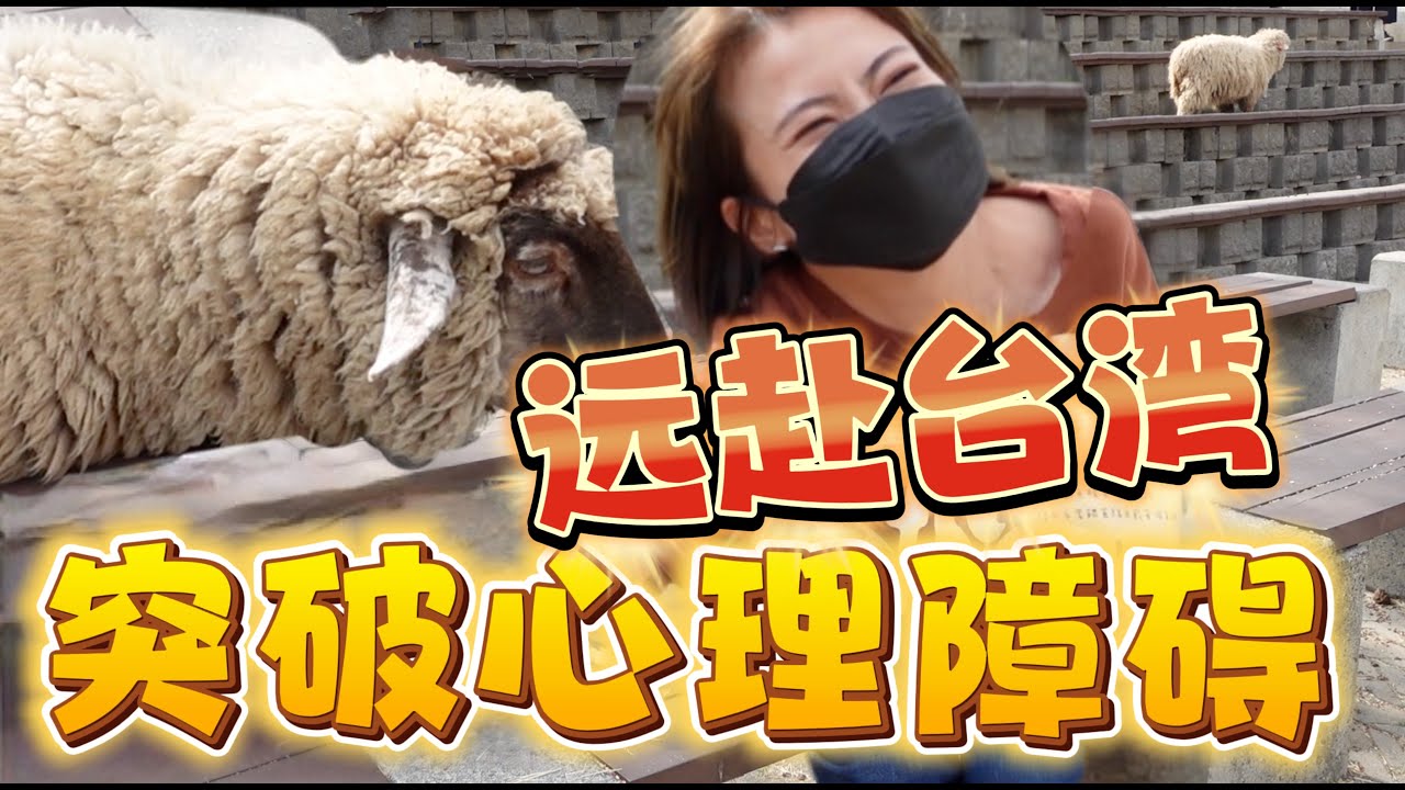 心惊胆跳，心脏差点飞出！喊破喉咙完成个人突破! 打卡全台湾最高的711，台湾必去景点。  Taiwan Travel Vlog！