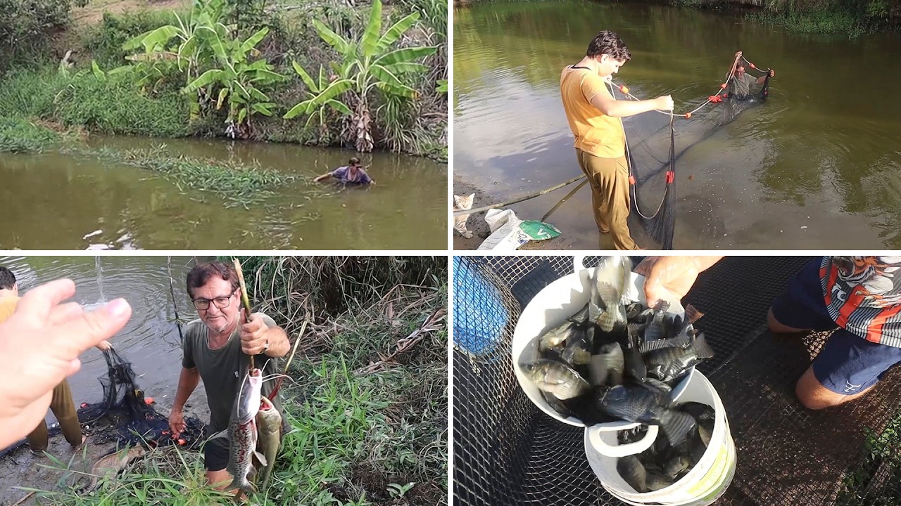 LIMPEZA E PESCARIA NO POÇO GRANDE + ALEVINOS FICARAM PRESOS NO TANQUE-REDE
