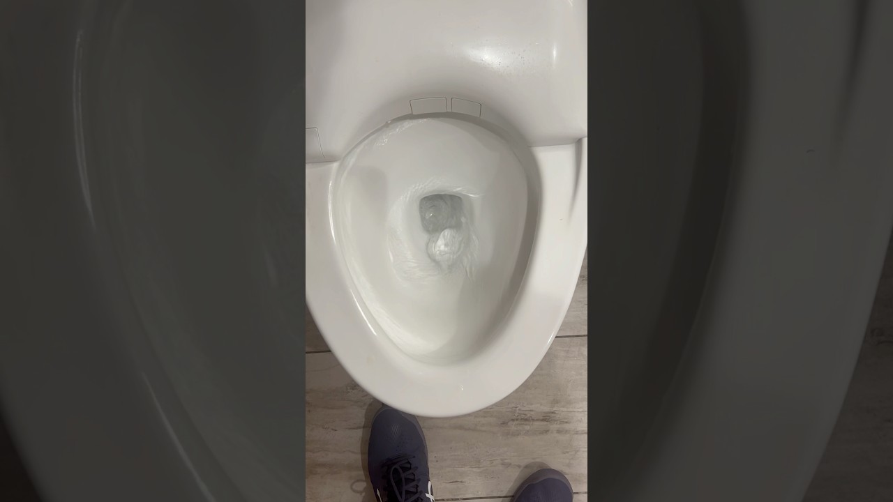 Toto neorest toilet flush!!