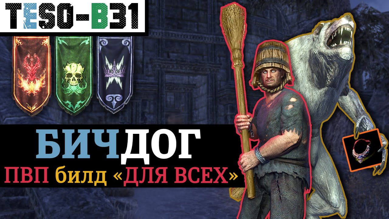 🐺 БИЧДОГ. Универсальный ПВП билд на любой класс. (БГ, Одна шмотка, Оборотень) TESO(2024)
