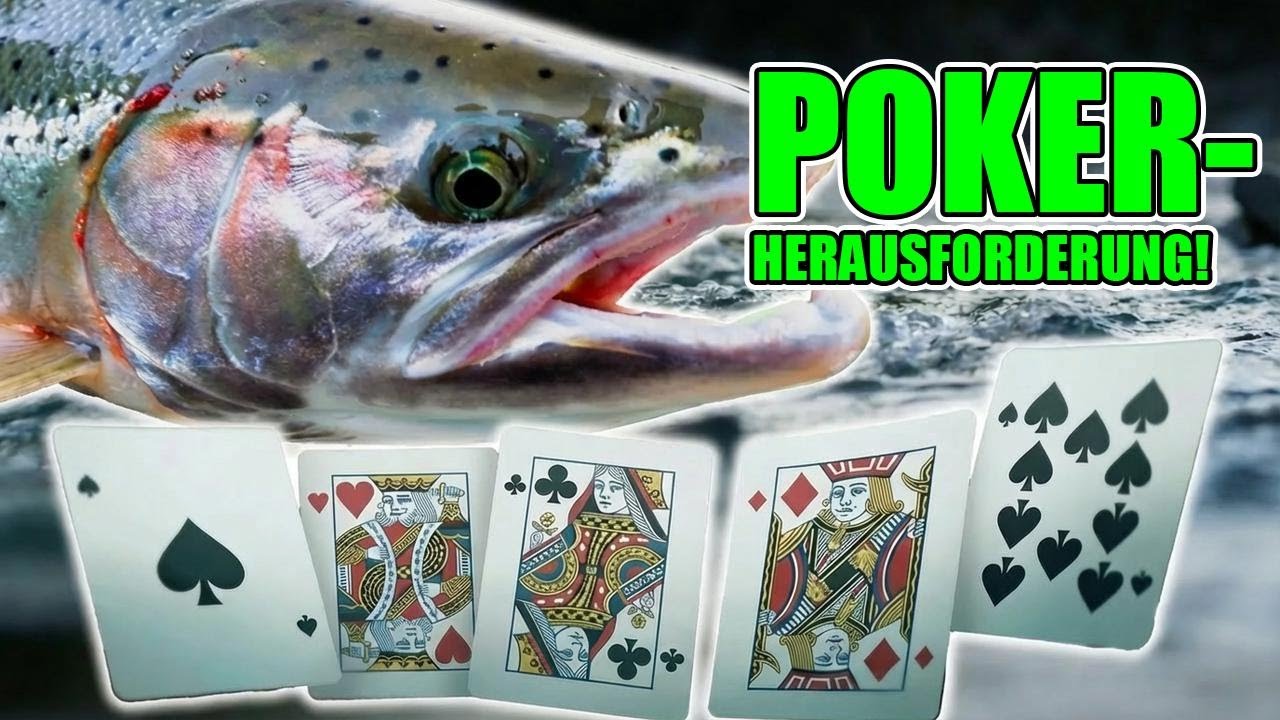 Steelhead-Angel-Challenge – Wer hat die beste Hand und gewinnt 500 $?