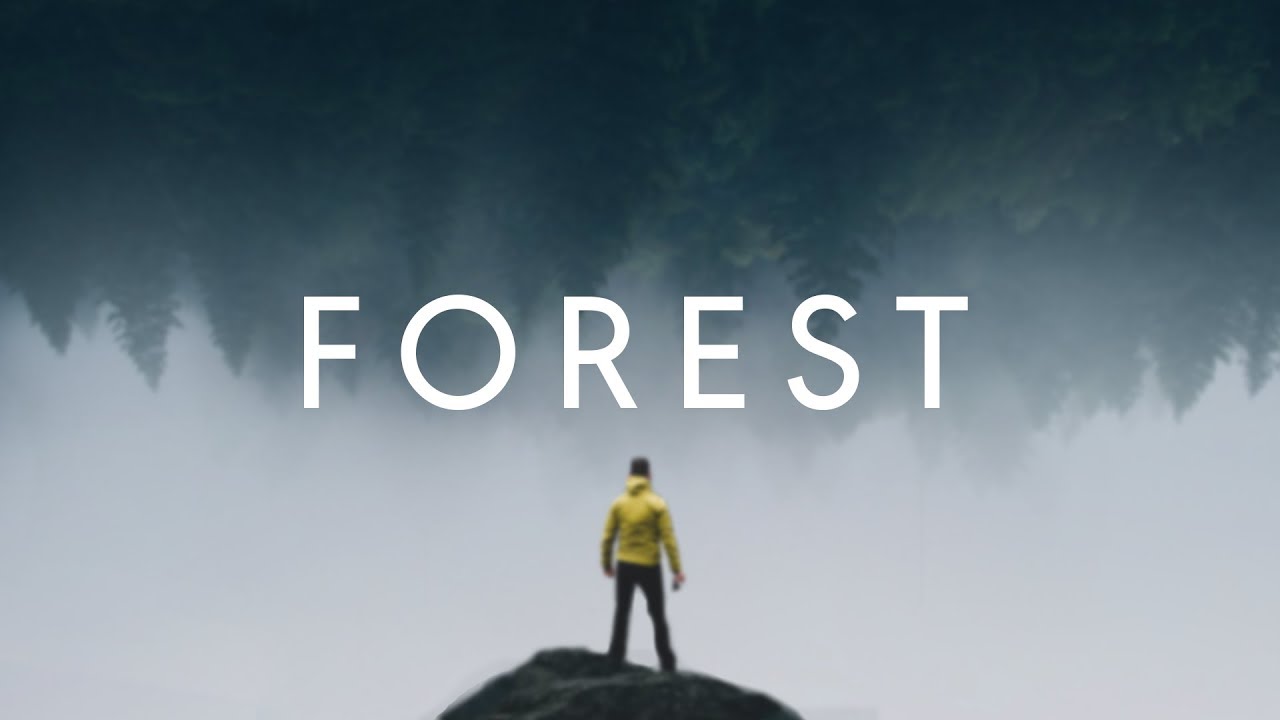 ARDENNES FOREST  | 4K STORY 🌲
