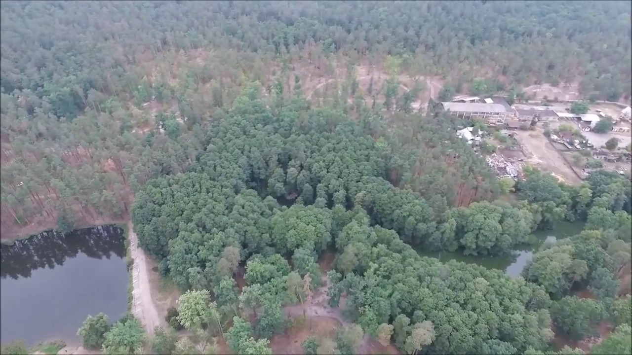 Пуща-Водица с высоты птичьего полета
