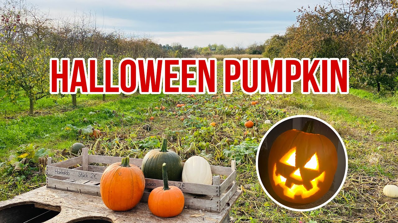 Halloween Pumpkin Picking 🎃🎃🎃 | Halloween 2024 | Filipinos in Germany | Filipino Family in Germany