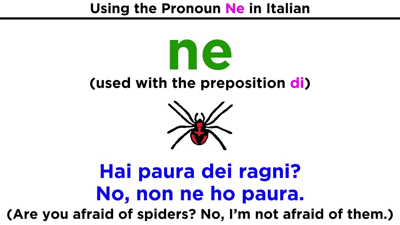 The Pronoun Ne in Italian