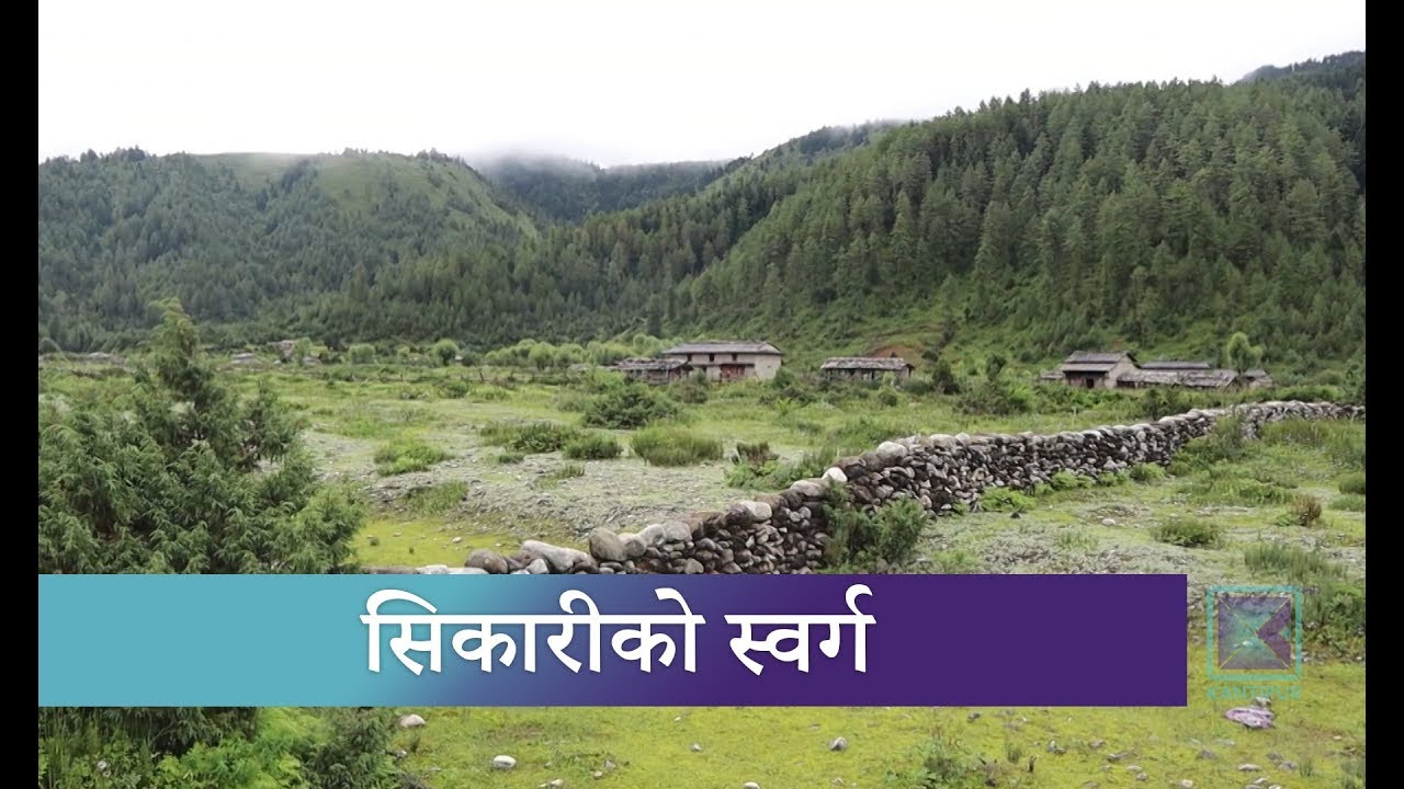 ढोरपाटन शिकार आरक्षमा विदेशी शिकारीको घुइँचो