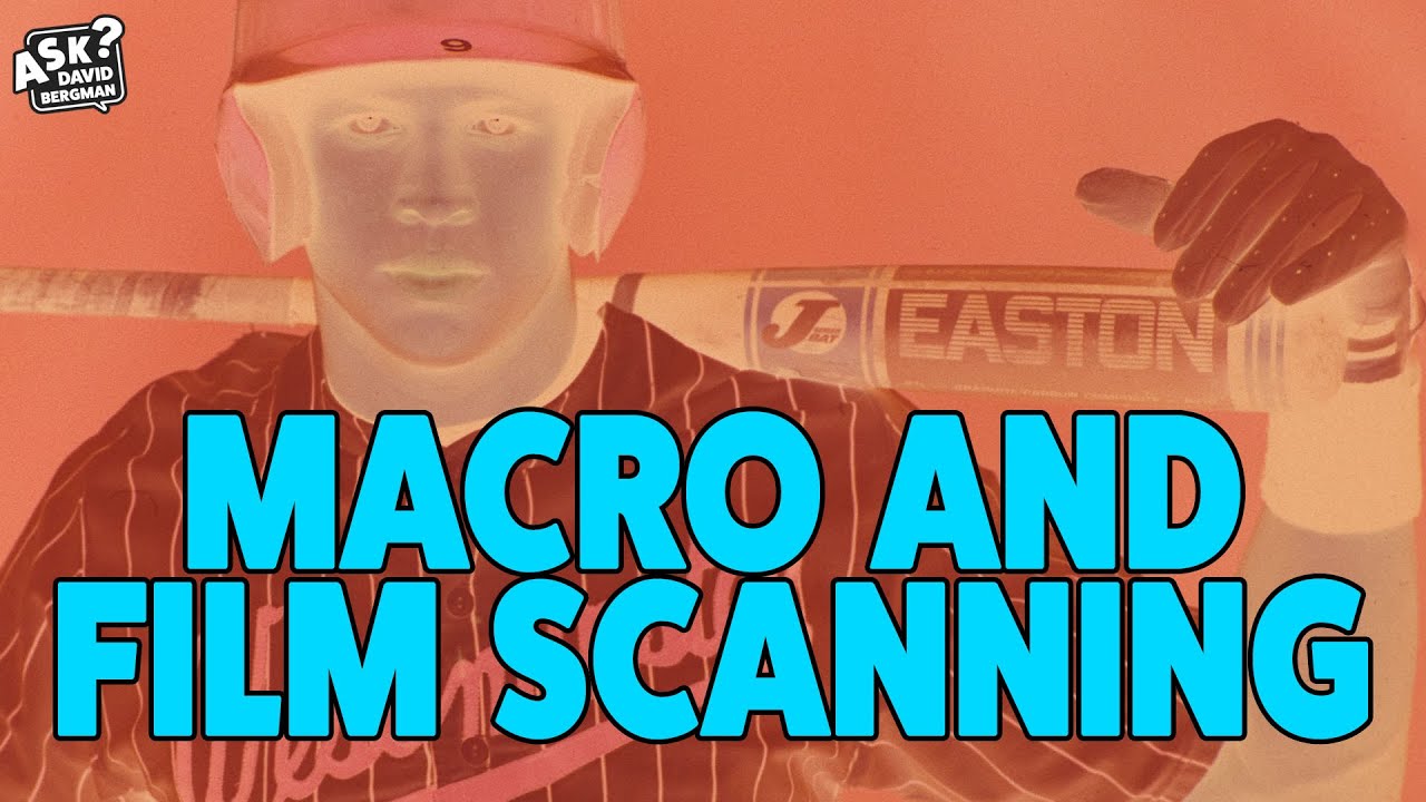 Macro and Film Scanning | Ask David Bergman