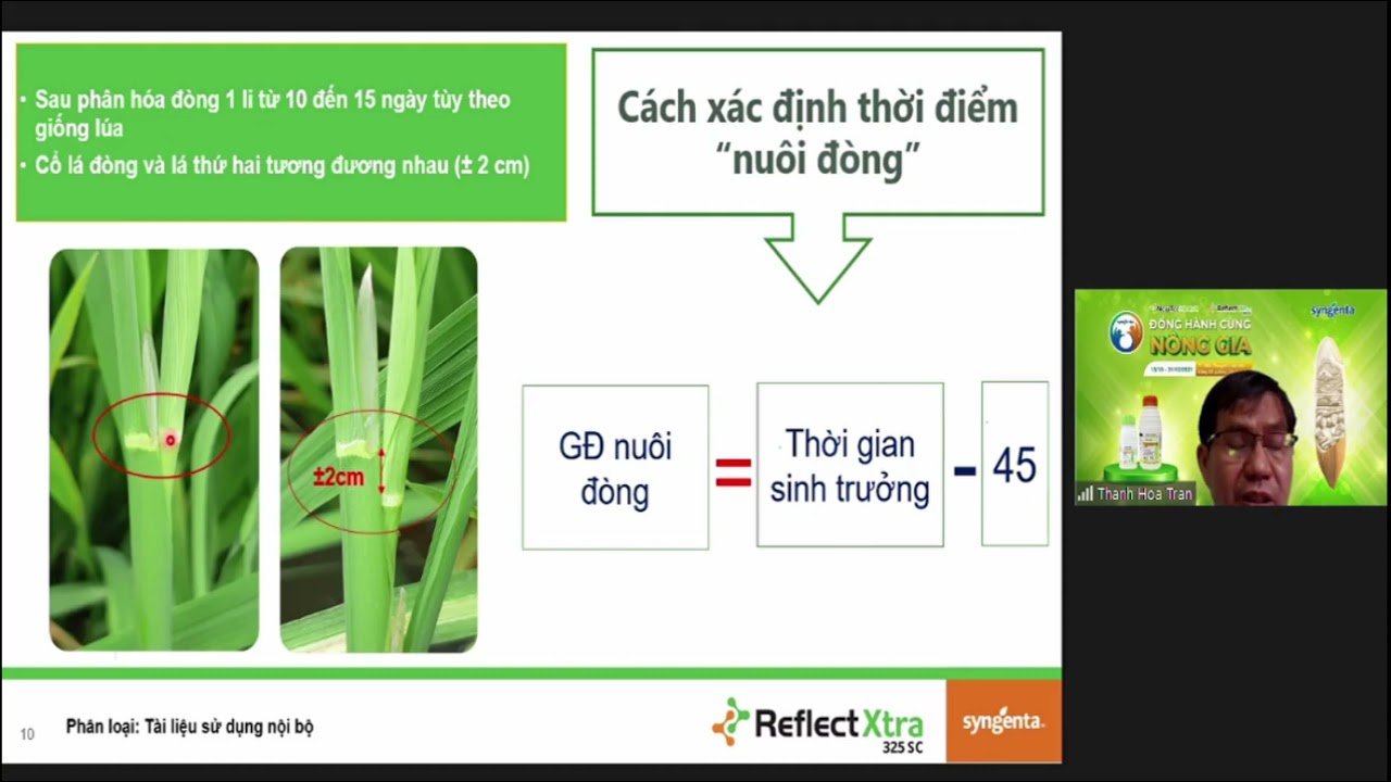 Tọa đàm trực tiếp Reflect Xtra - Newtec với Kỹ sư Syngenta | thuốc trừ bệnh | thuốc trừ sâu