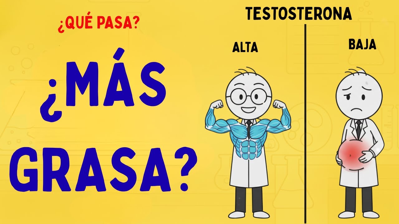 LA VERDADERA RAZÓN POR LA QUE LA BAJA TESTOSTERONA INCREMENTA LA GRASA ABDOMINAL