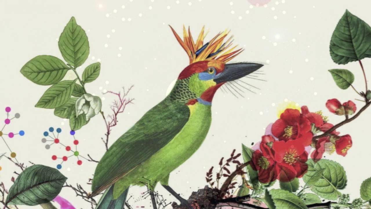 Sara Serpa & Andr&eacute; Matos- AMLAC
