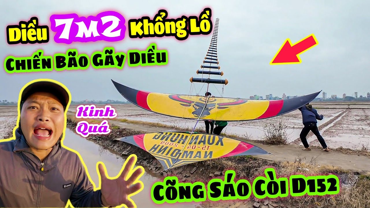 Diều 7m2 Khổng Lồ Cõng Còi D152 29 Quả Chiến Gió Bão Gãy Cánh Luôn