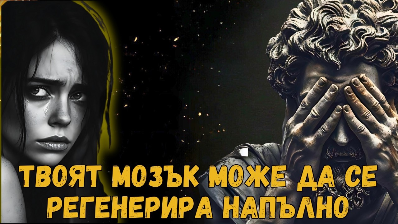 НЕВРОБИОЛОГИЯТА НА ИЗЦЕРЕНИЕТО: КАК ДА ВЪССТАНОВИТЕ МОЗЪКА СИ СЛЕД НARCИСТИЧНО НАСИЛИЕ