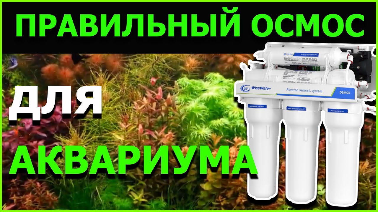 ПРАВИЛЬНЫЙ ОСМОС ДЛЯ АКВАРИУМА, ЧТО ЭТО ЭТО ТАКОЕ?КАК ПОЛУЧИТЬ ОСМОС?