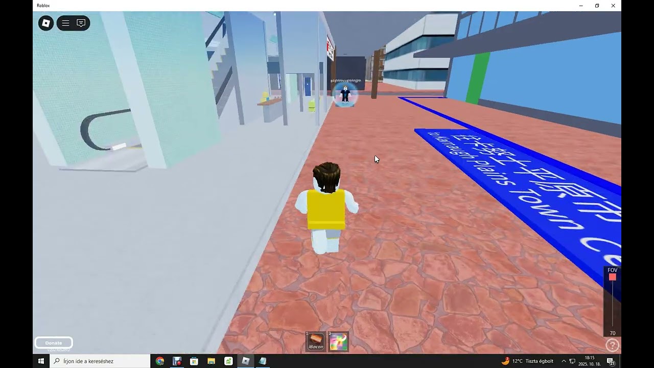 Roblox - Lose Or Win