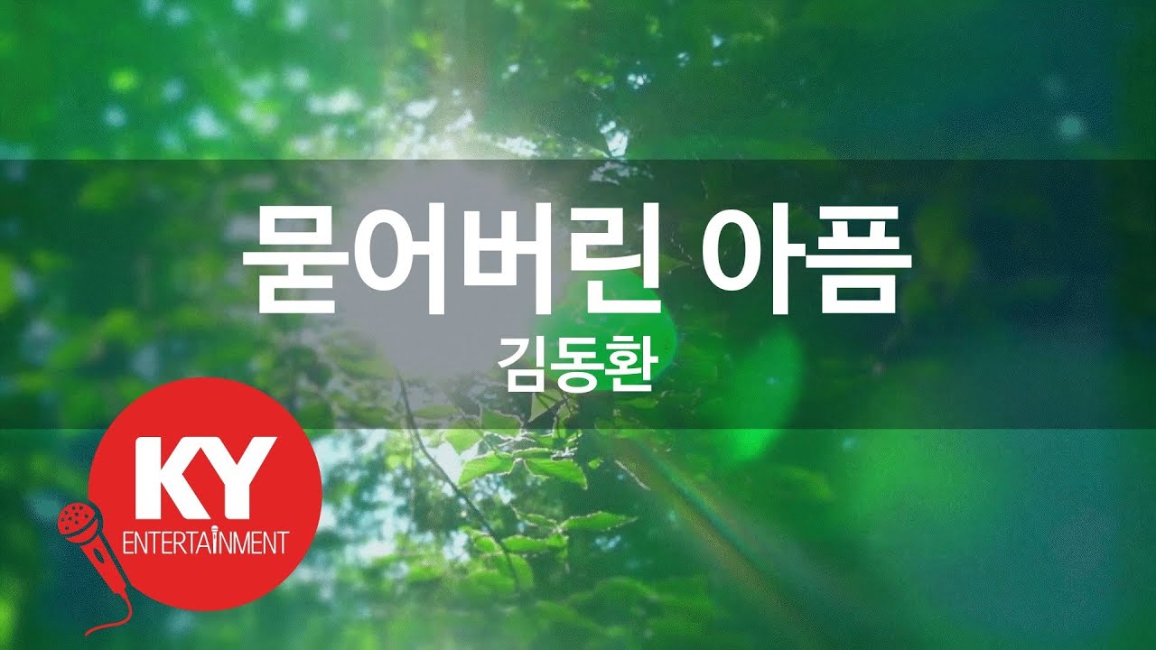 [KY ENTERTAINMENT] 묻어버린 아픔 - 김동환 (KY.1340) / KY Karaoke