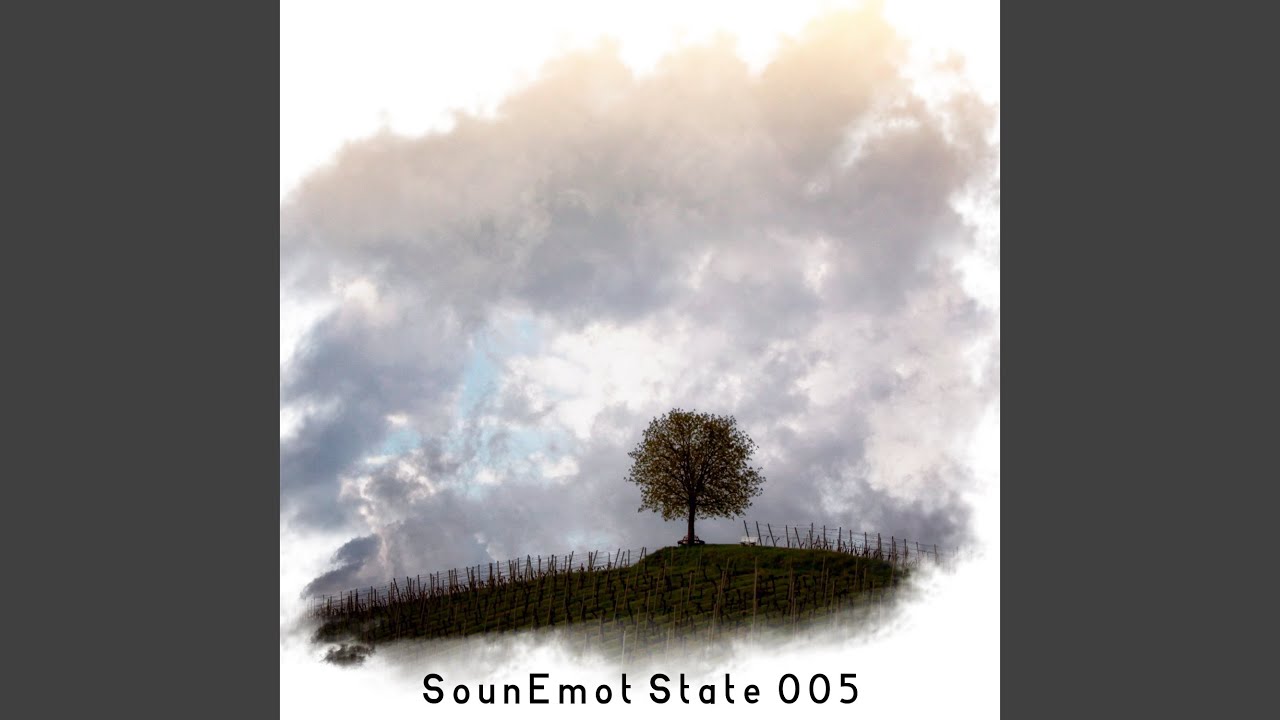 Sounemot State 005 (Mixed by SounEmot)