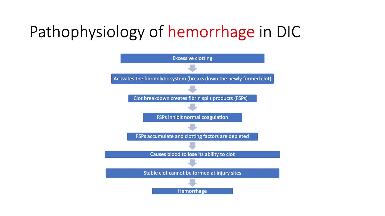 Disseminated Intravascular Coagulation (DIC)