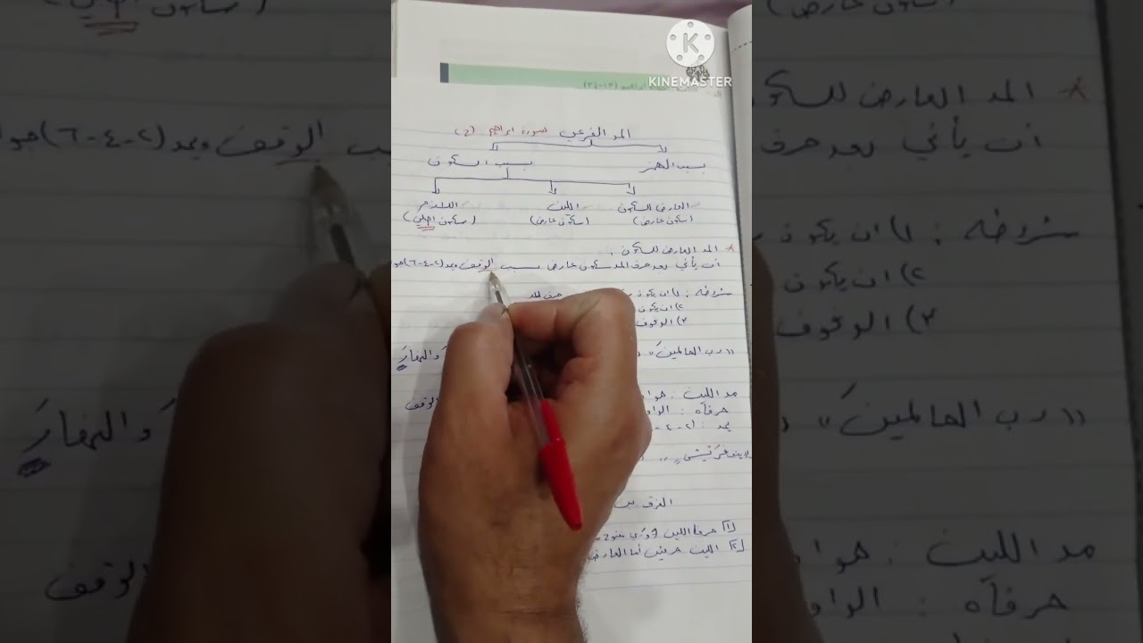 شرح المد العارض للسكون توجيهي فلسطين 2023