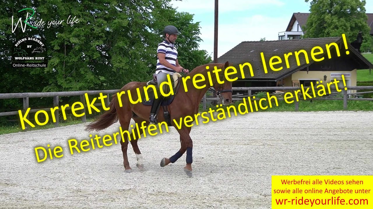 F163 Bella 3: Weiterreiten in der Parade, Pferde korrekt an die Hand heran Reiten, Schenkelhilfen