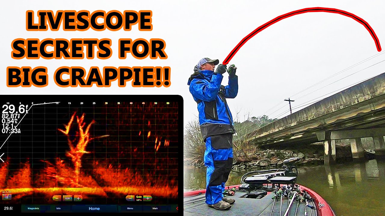 Crappie Fishing SERCRETS! Tips for Jigging with GARMIN LIVESCOPE! (BIG CRAPPIE)
