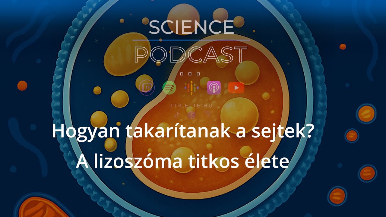 🧫🦠Hogyan takarítanak a sejtek? 🧬 A lizoszóma titkos élete S5E17