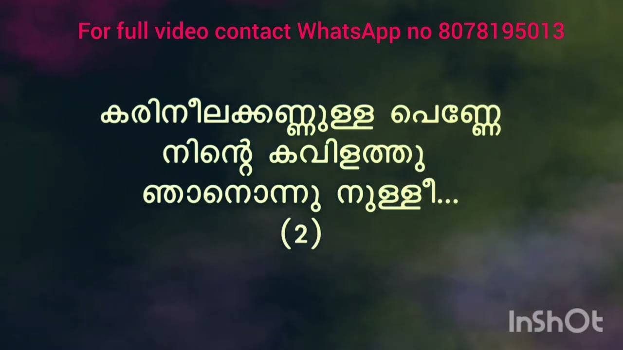Karineela Kannulla Penne karaoke with lyrics