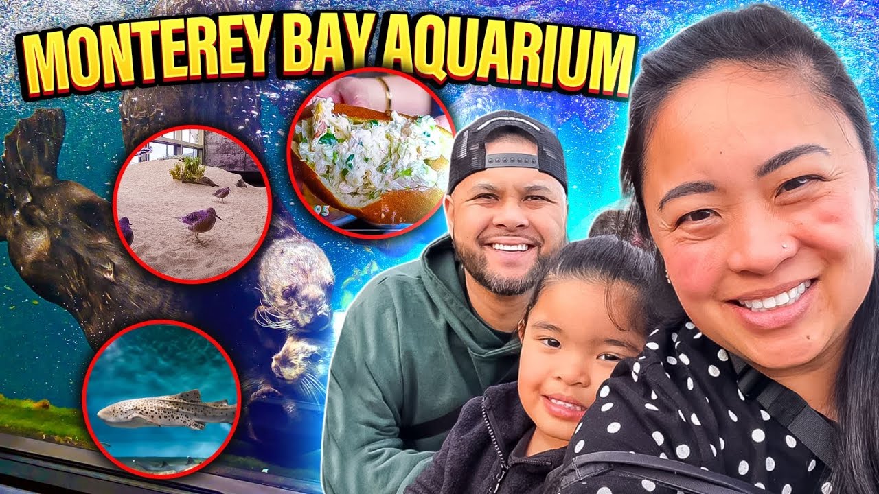 MONTEREY BAY AQUARIUM VLOG | Weekend Getaway to Discover the Beauty of Marine Life - California