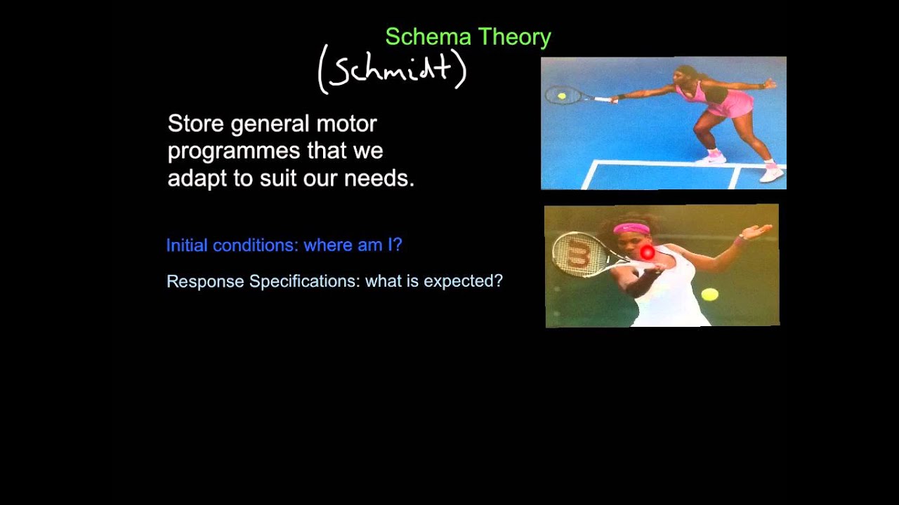Schema Theory