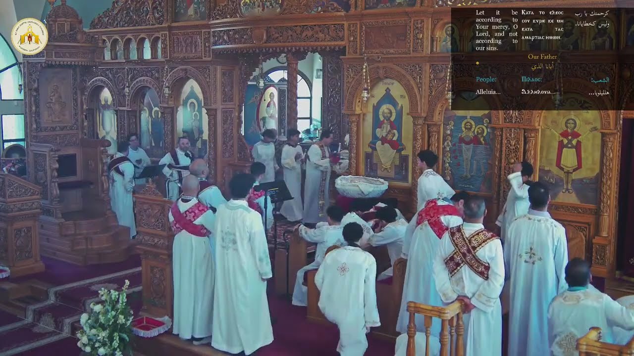 Sunday Liturgy 02.01.2026 - St. Mina Church Riverside