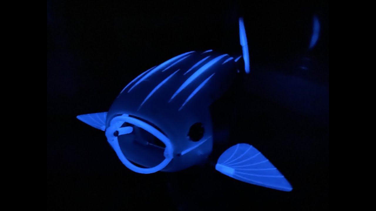 The Natural Robotics Contest 2022 Winner: 'Gillbert'
