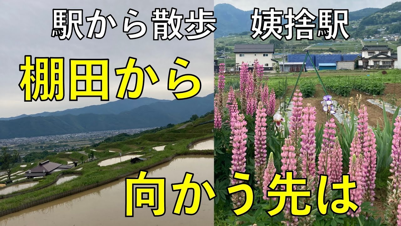 棚田から向かう先は【姨捨駅・駅から散歩】
