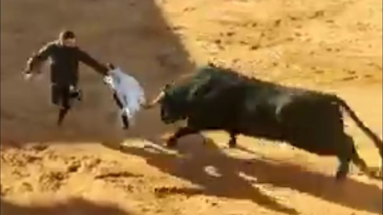 ❤️Pasión y Tradición🐃 de Nuestros Pueblos,un tesoro,el Festejo Popular con sus Maestros de la Calle