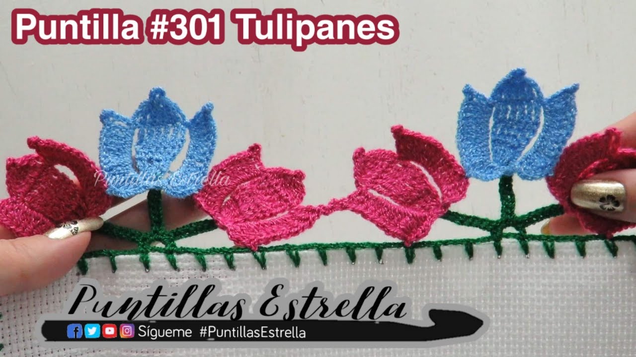 Puntilla 301 Tulipanes