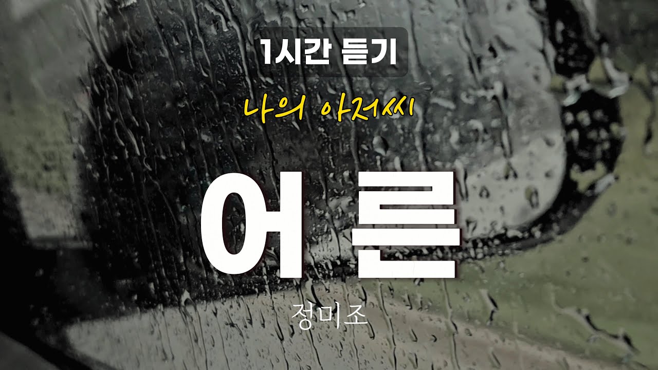 1시간 연속 듣기ㅣ다시 부른 정미조 어른 (나의 아저씨 OST) 추천곡. 가슴 시리도록 아름다운 노래