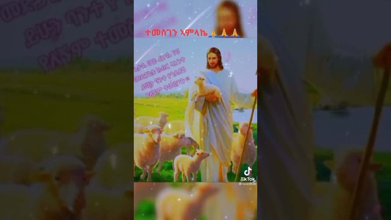 #Kokob_Media #ኮኮብ_ሚዲያ August 17, 2021
