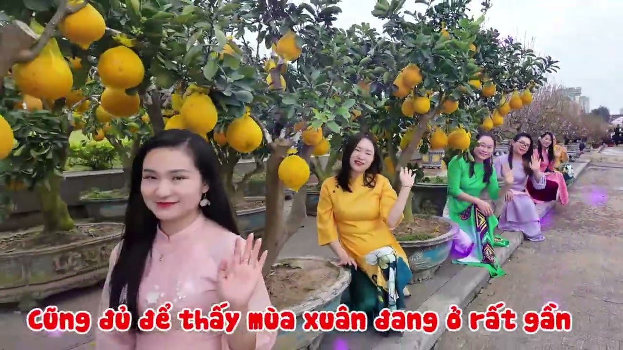 Xuân Bính Ngọ - Tết Bình an - Chào xuân 2026