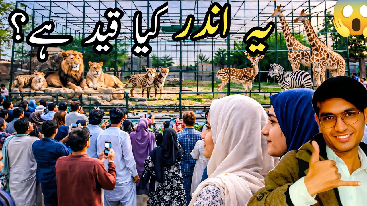 🔥Zoo Animals Locked Inside 😱 | Zeeshan Ali Siyal