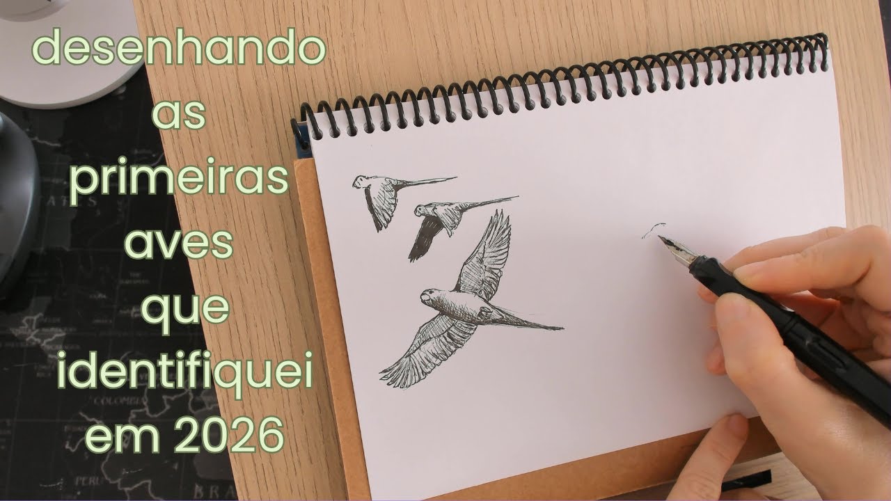 2026 chegou e eu decidi começar o ano desenhando | sem voz, somente som ambiente