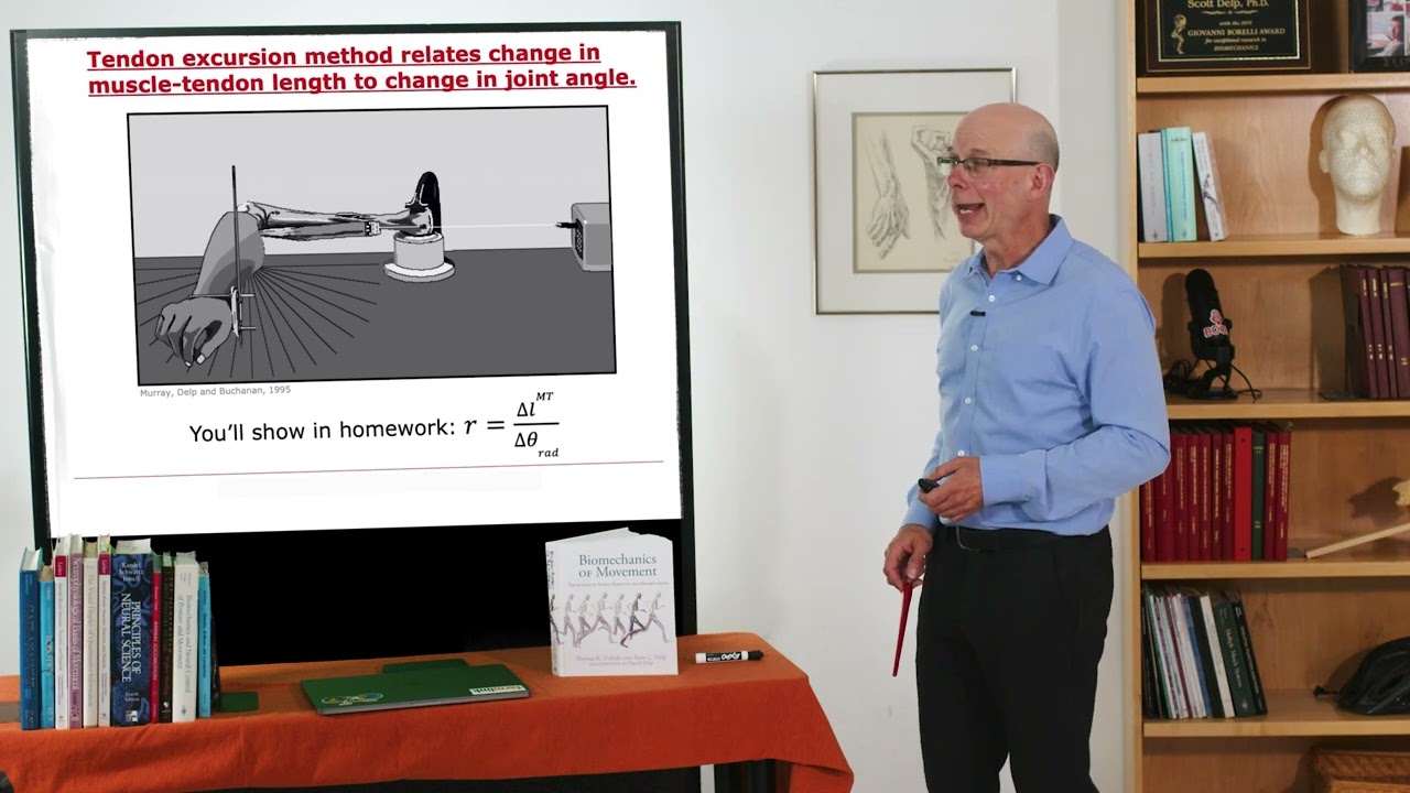 Biomechanics of Movement | Lecture 6.2: Measuring and Calculating Moments