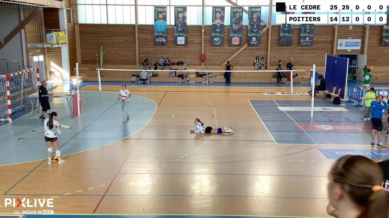 Le cèdre - Poitiers