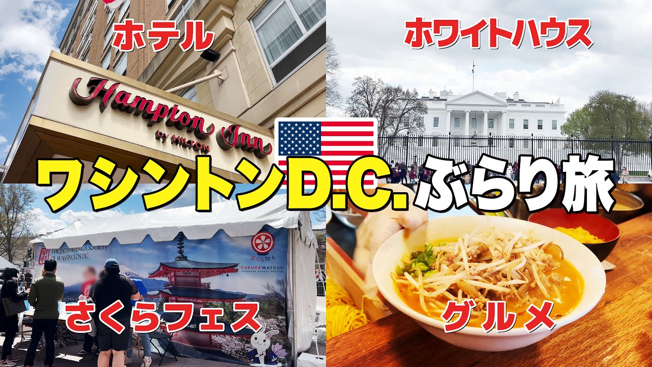 【アメリカ旅行】春のワシントンDCで桜観たりホワイトハウス行ったり｜ホテル紹介｜さくらフェスティバル｜ラーメン