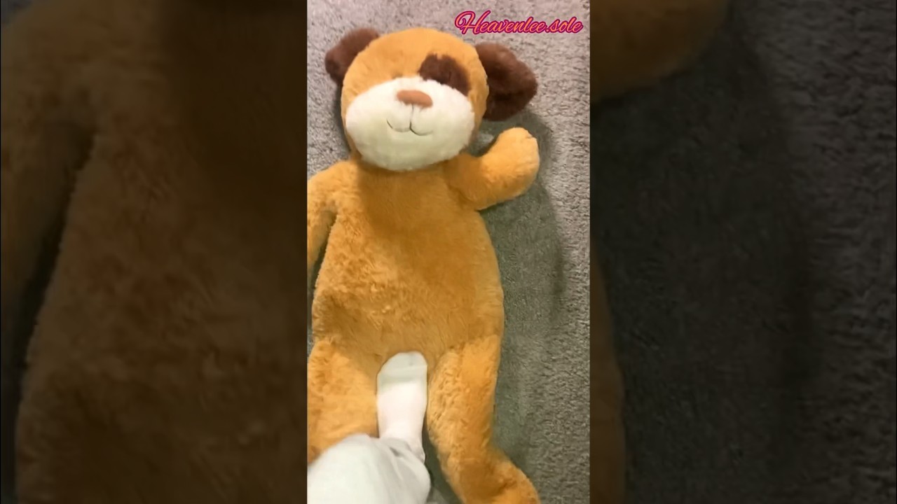 Stomping on teddy bear wearing white socks #asmrvideo #feet #stomping #whitesocks #stuffedanimals