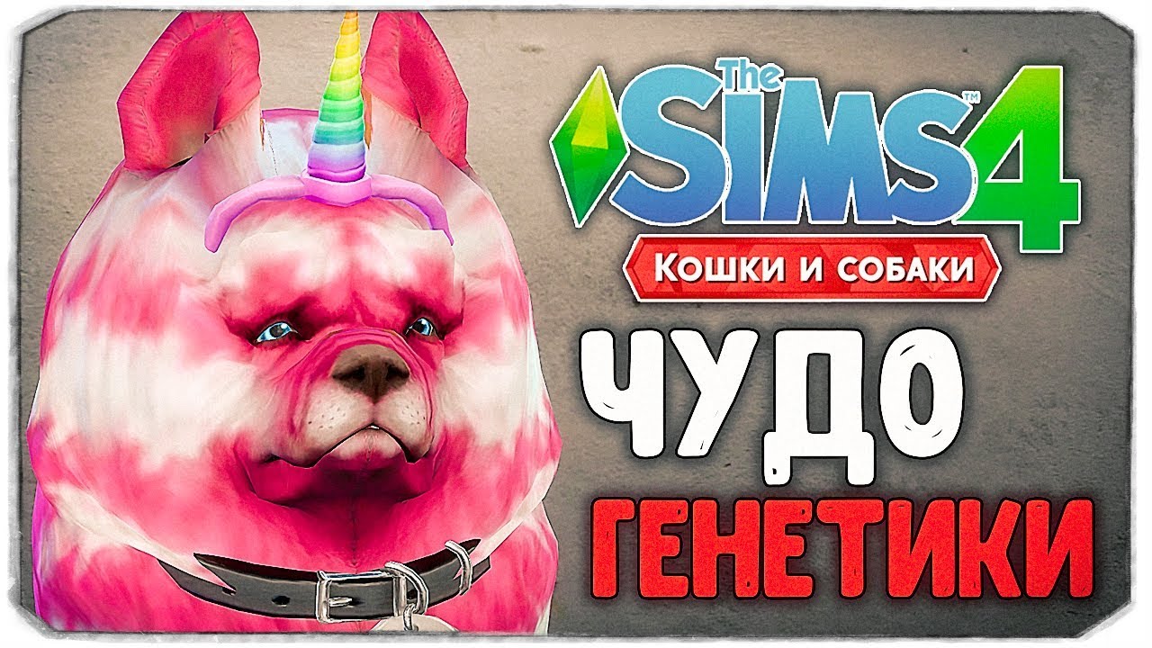 ЧУДО ГЕНЕТИКИ, КАКОЙ ПЕСИК САМЫЙ МИЛЫЙ? - The Sims 4 