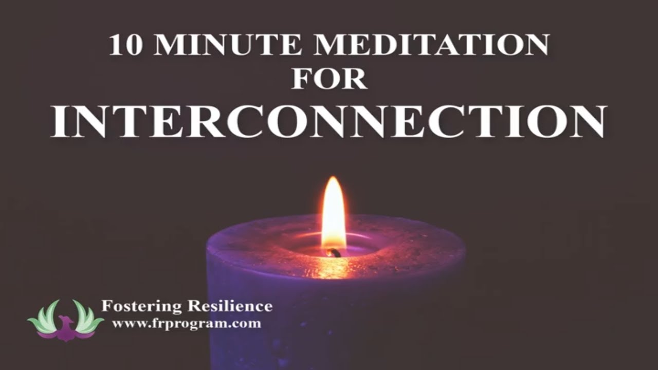 Meditation for Interconnection