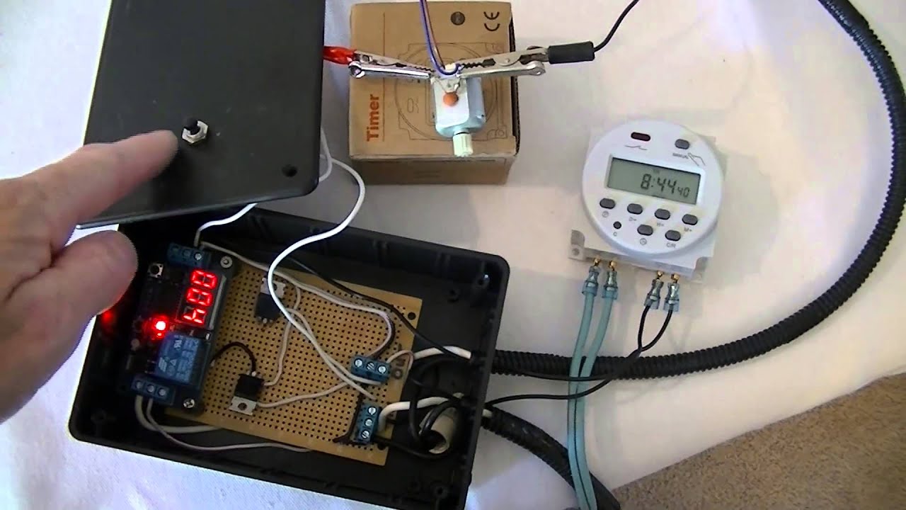 DIY Automatic Fish Feeder