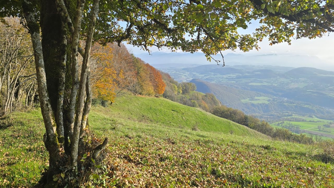 Le Mont Vuache par Chaumont