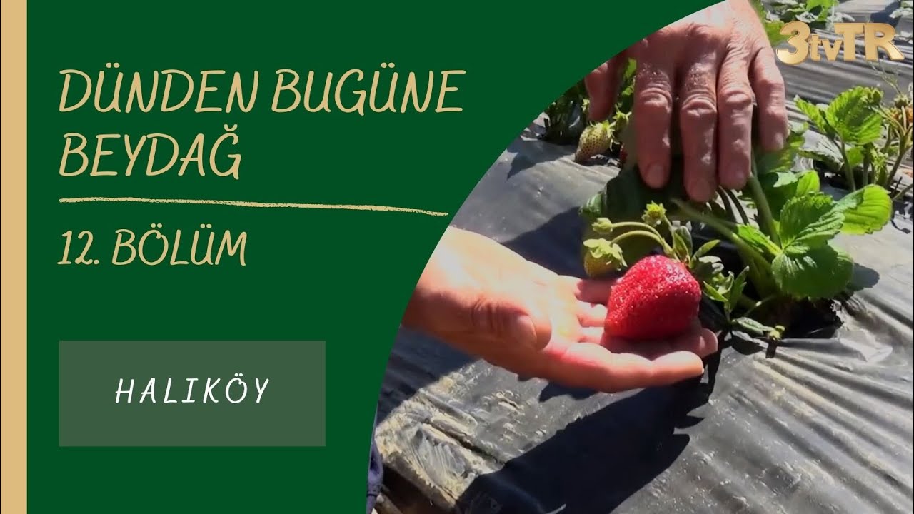 #BELGESEL DÜNDEN BUGÜNE BEYDAĞ (HALIKÖY) 12. BÖLÜM