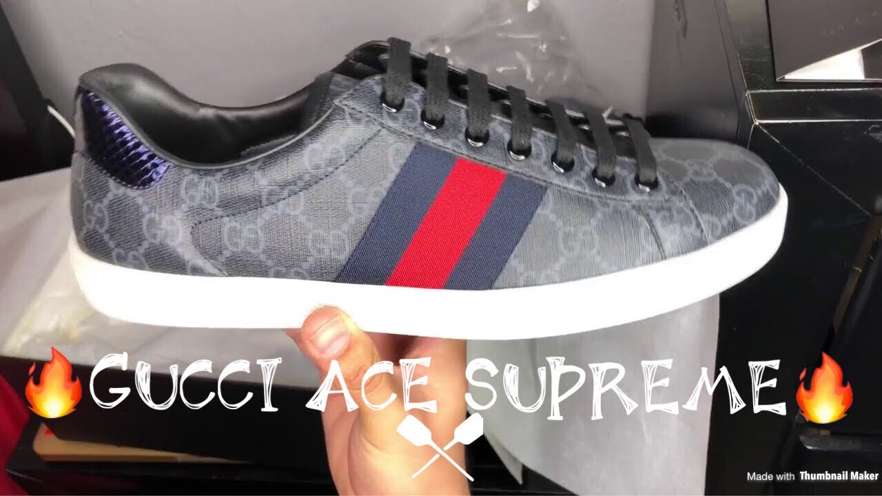 Gucci Ace Supreme Review + On Feet