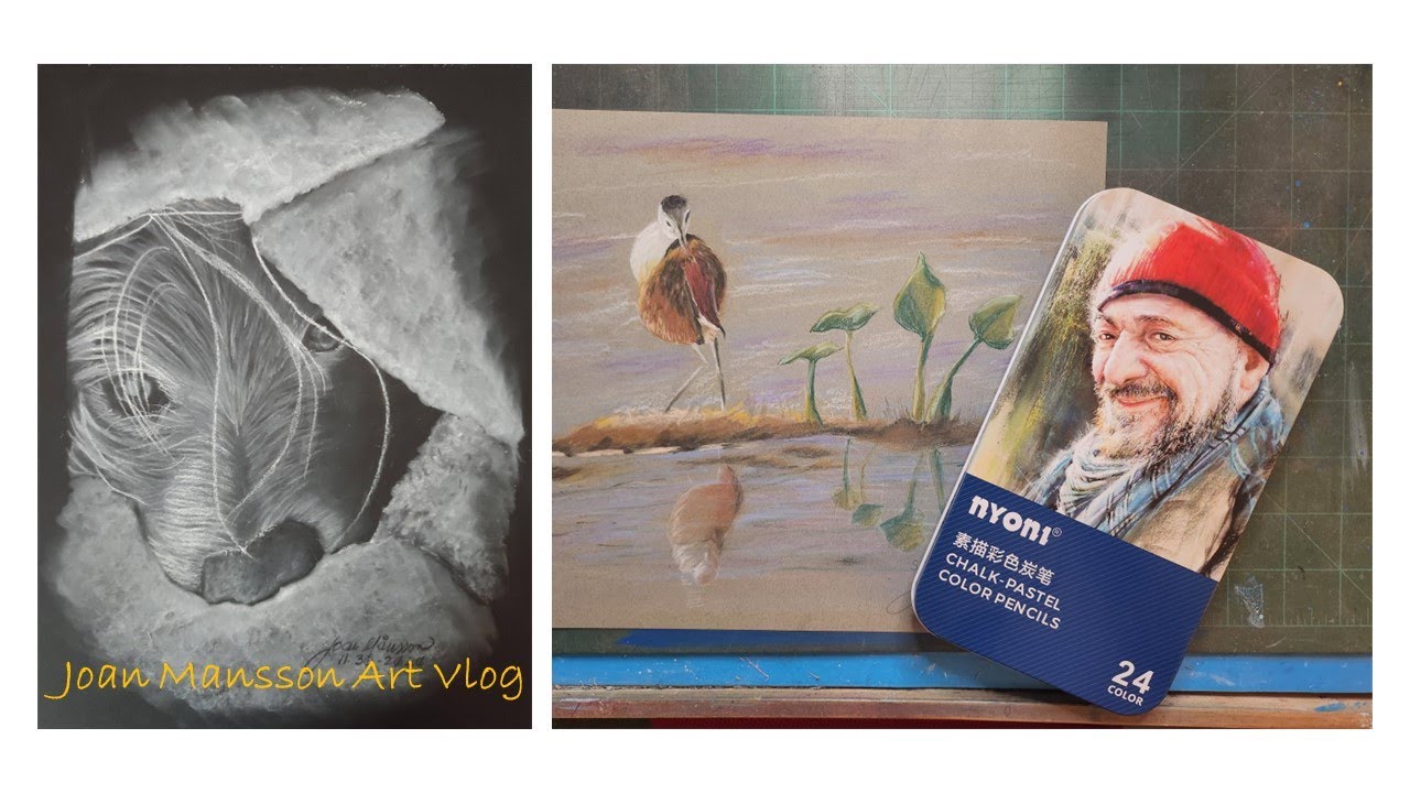 Nyoni Chalk-Pastel Color Pencil: portrait of a shorebird