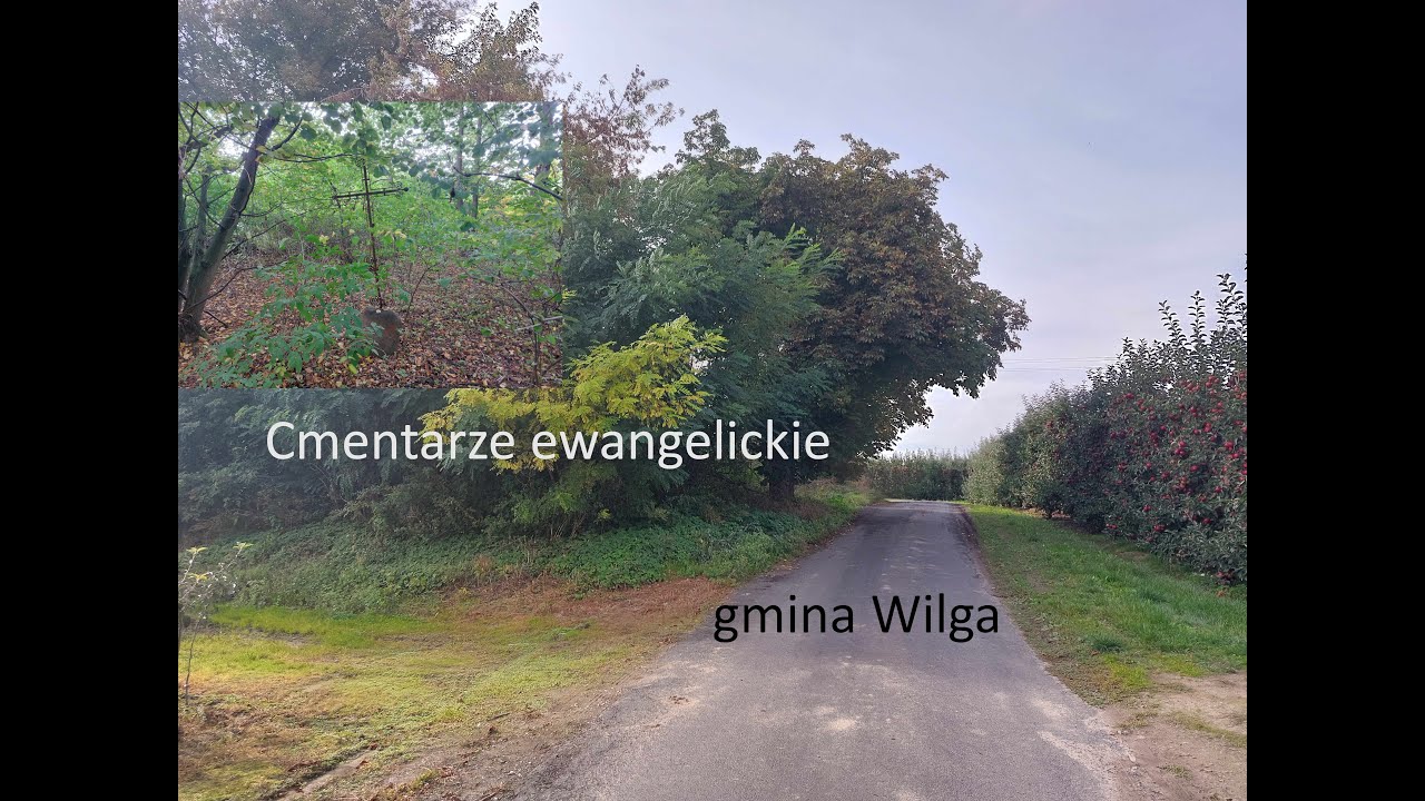 Cmentarze ewangelickie pośr&oacute;d sad&oacute;w - gmina Wilga